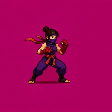 Female Ninja Spinning Kick Animation